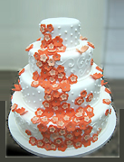 Torte za razne prilike